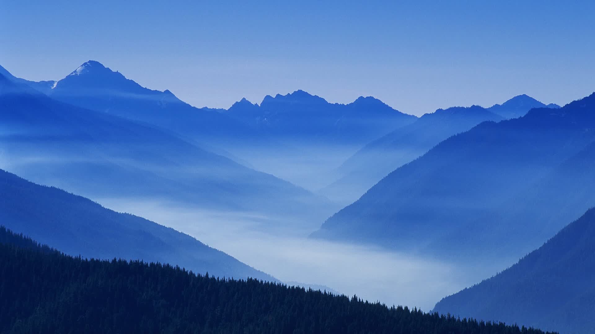世界体能恢复智能硬件评测：便携设备受俱乐部青睐，体能训练系统